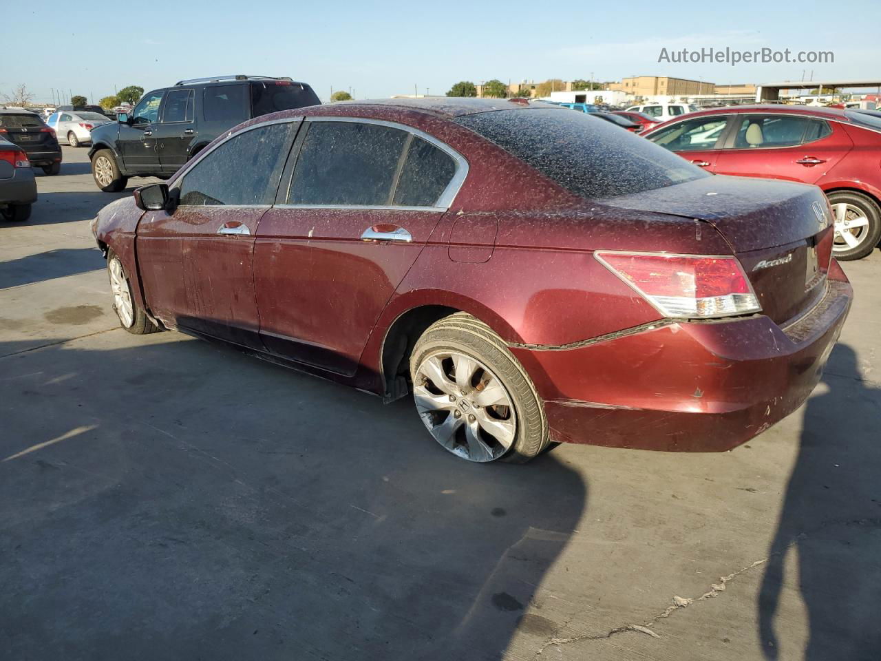 2009 Honda Accord Exl Burgundy vin: 1HGCP36859A038713