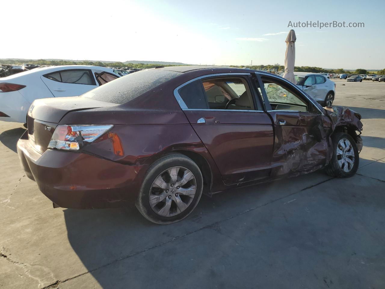 2009 Honda Accord Exl Burgundy vin: 1HGCP36859A038713