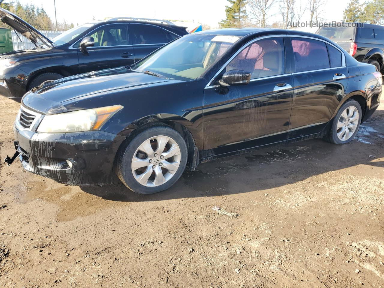 2009 Honda Accord Exl Black vin: 1HGCP36859A800955