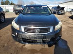 2009 Honda Accord Exl Black vin: 1HGCP36859A800955