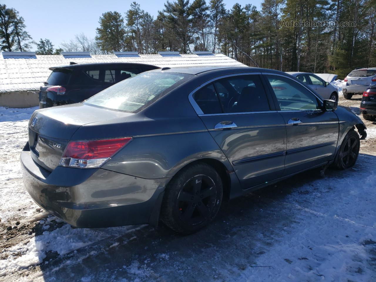 2008 Honda Accord Exl Серый vin: 1HGCP36868A075526