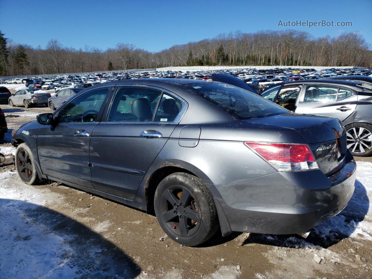 2008 Honda Accord Exl Серый vin: 1HGCP36868A075526