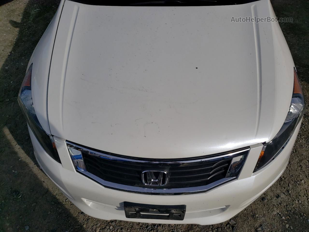 2008 Honda Accord Exl White vin: 1HGCP36868A077342