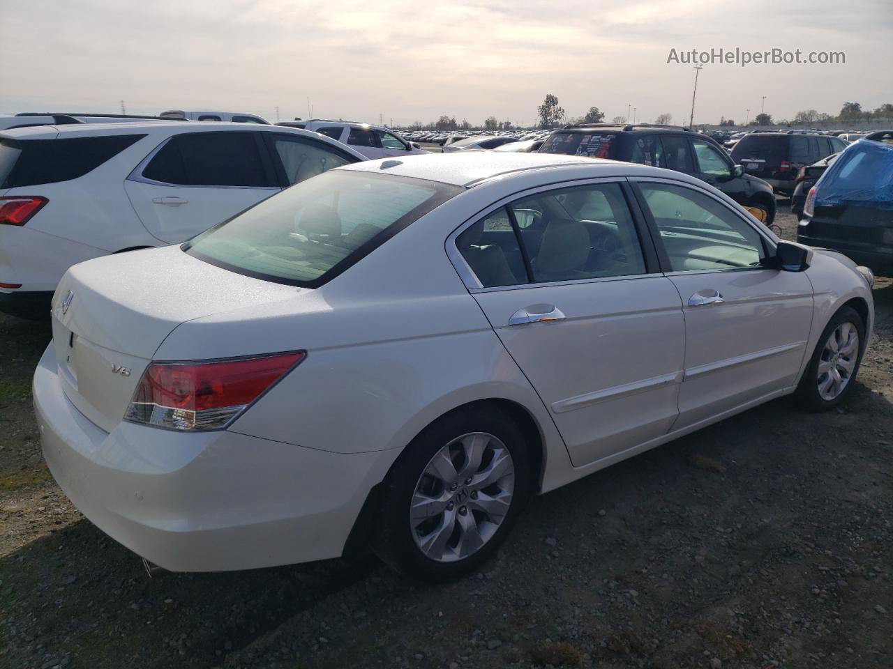 2008 Honda Accord Exl White vin: 1HGCP36868A077342