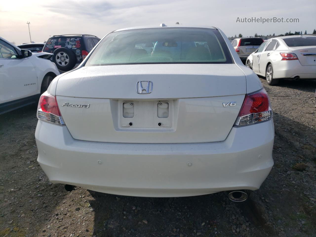 2008 Honda Accord Exl White vin: 1HGCP36868A077342