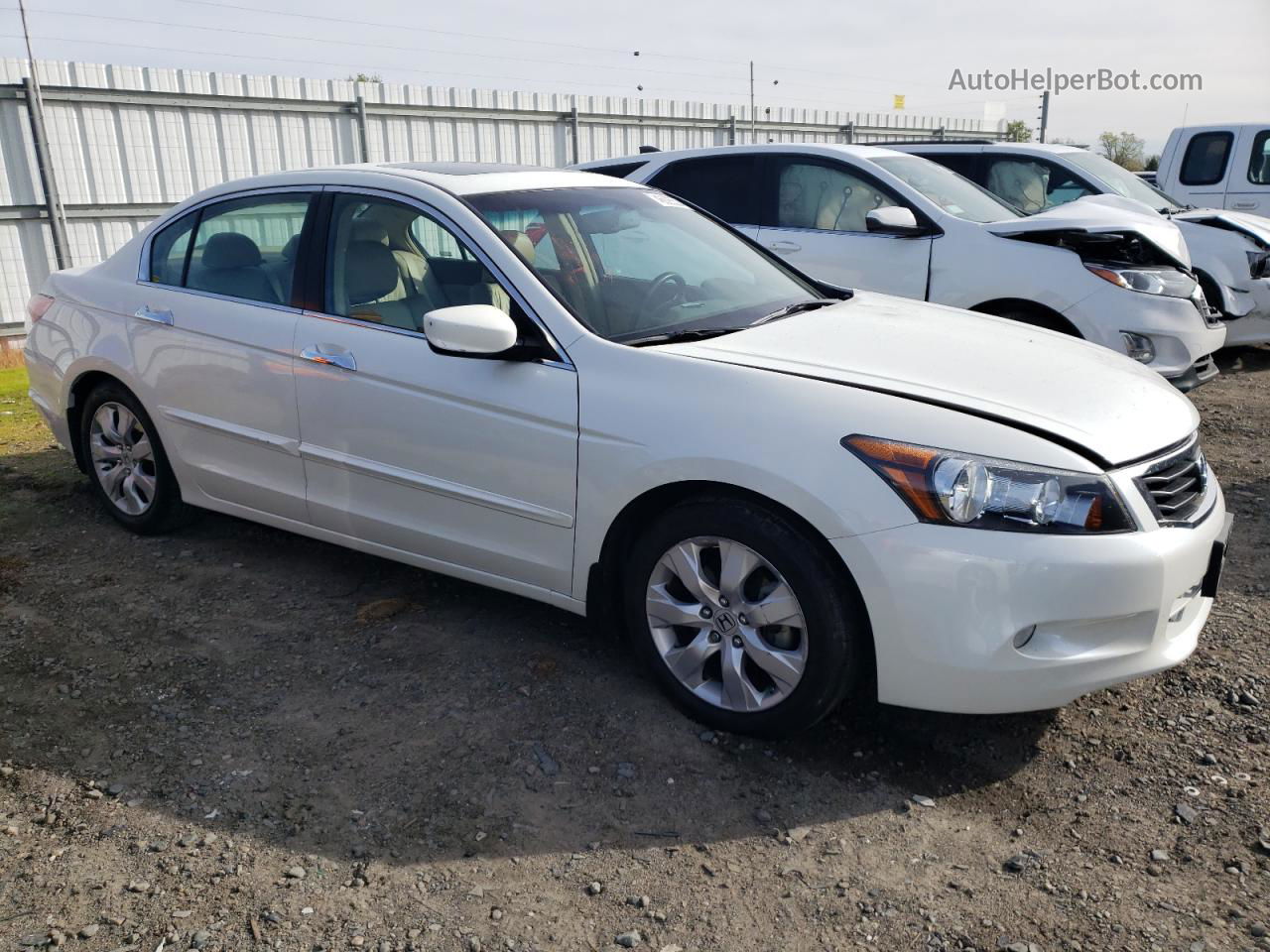 2008 Honda Accord Exl White vin: 1HGCP36868A077342