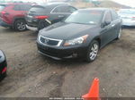 2008 Honda Accord 3.5 Ex-l Black vin: 1HGCP36868A087658