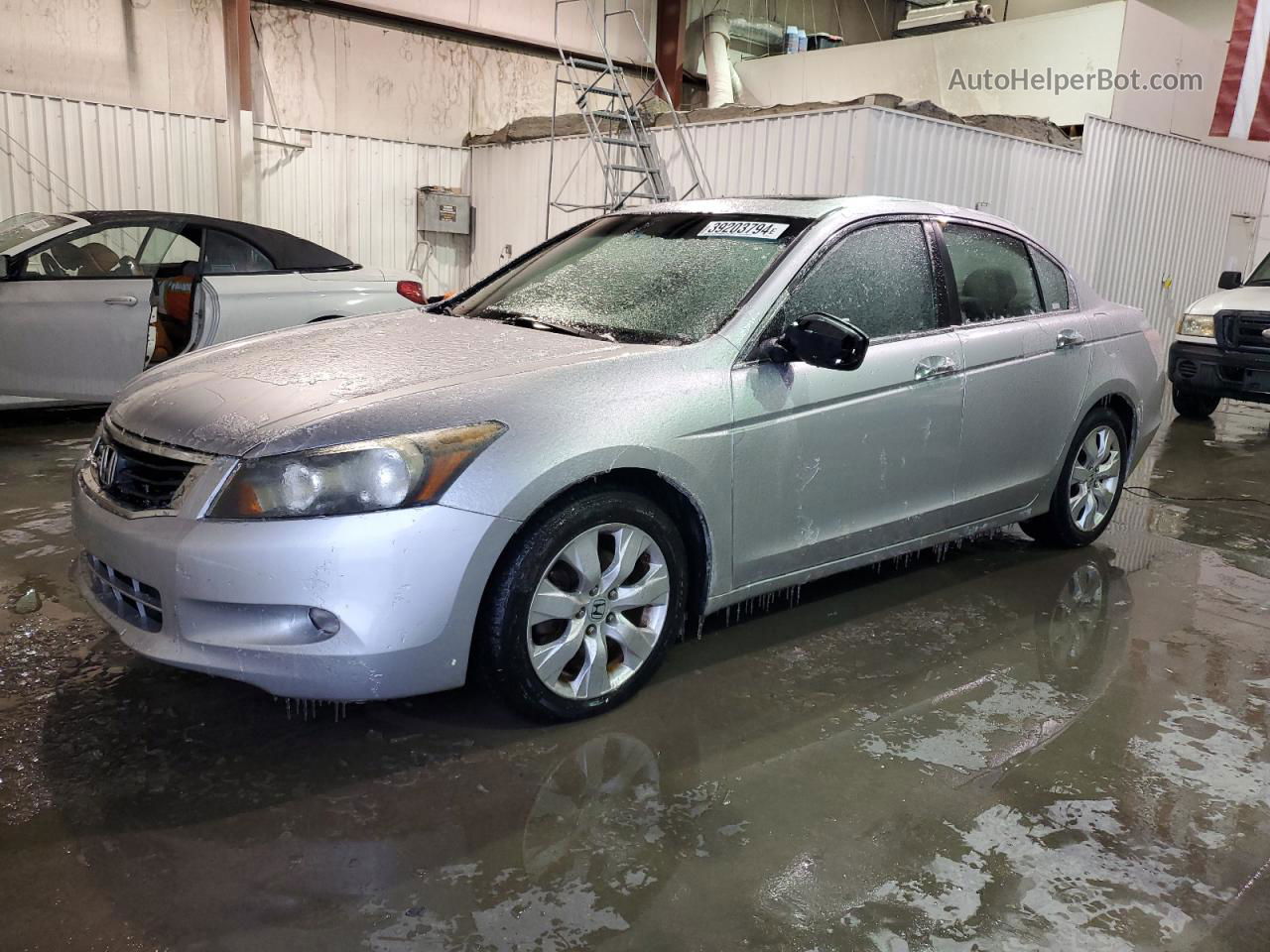 2009 Honda Accord Exl Silver vin: 1HGCP36869A008149