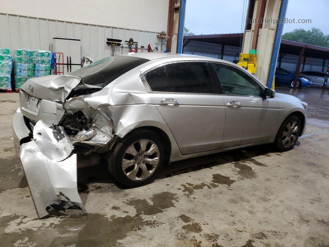 2009 Honda Accord Exl Silver vin: 1HGCP36869A013951