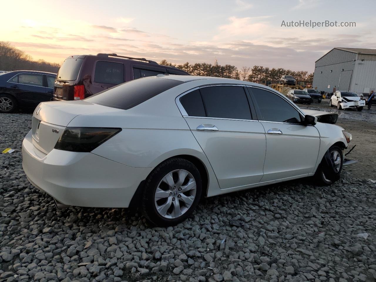 2009 Honda Accord Exl White vin: 1HGCP36869A048571