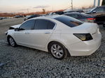 2009 Honda Accord Exl Белый vin: 1HGCP36869A048571