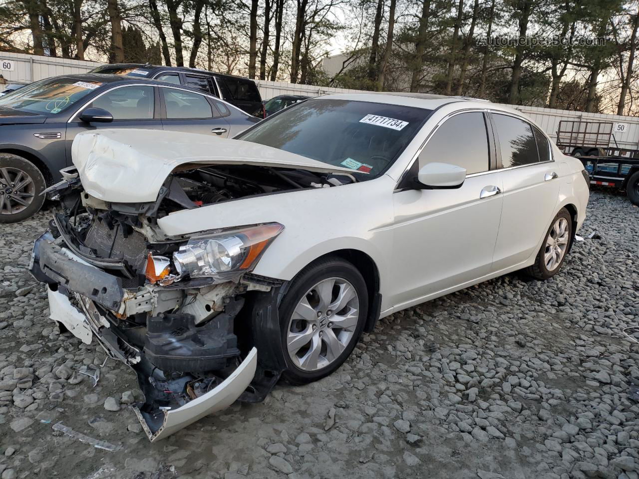 2009 Honda Accord Exl White vin: 1HGCP36869A048571