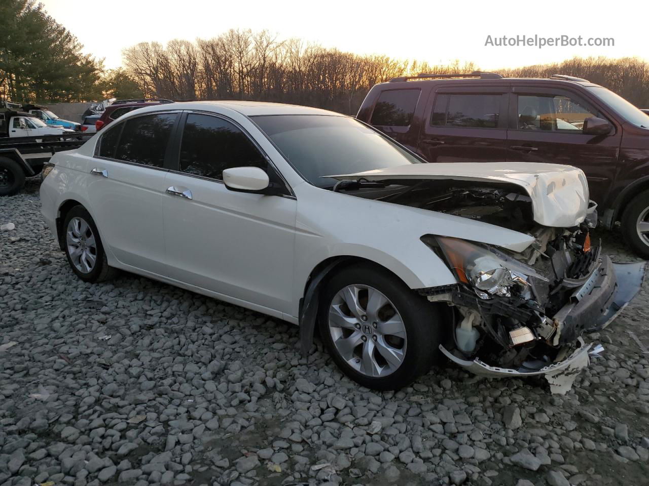 2009 Honda Accord Exl Белый vin: 1HGCP36869A048571