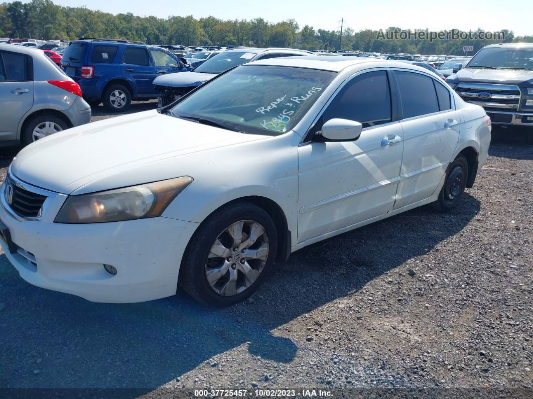 2008 Honda Accord 3.5 Ex-l Белый vin: 1HGCP36878A030661