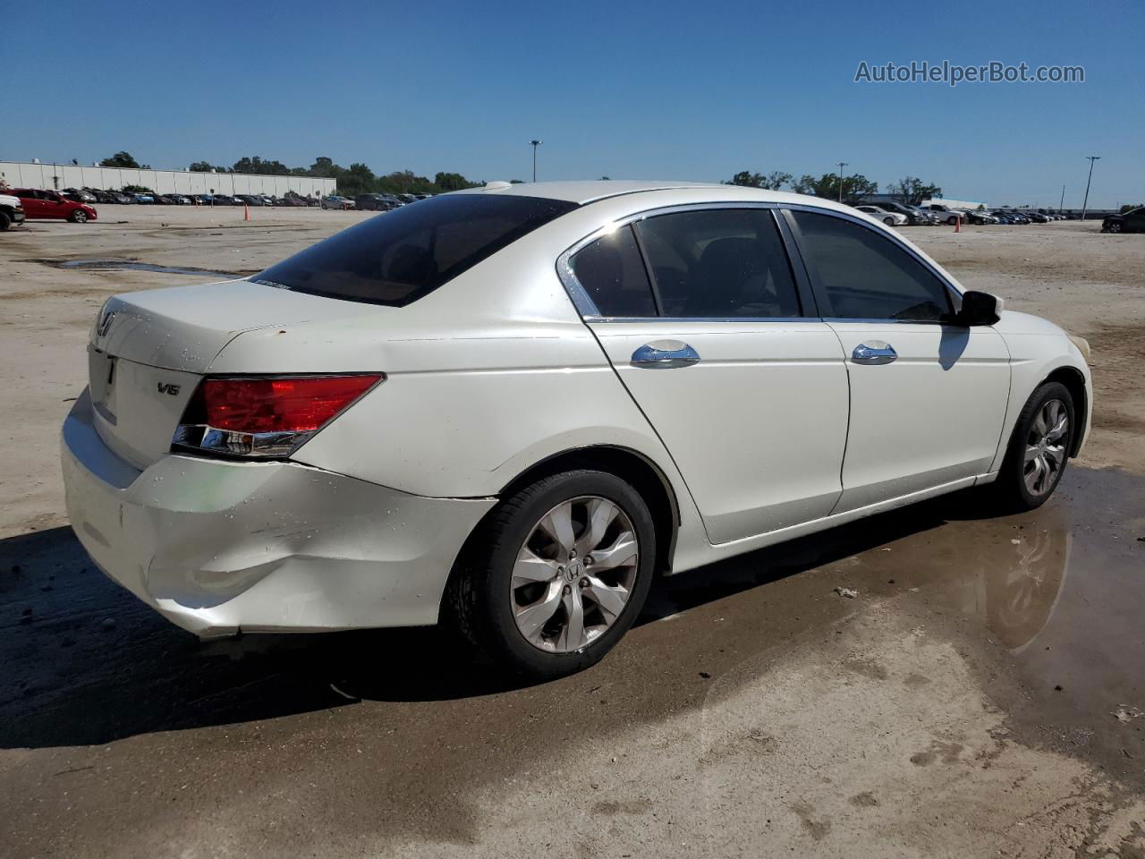 2008 Honda Accord Exl White vin: 1HGCP36878A066060