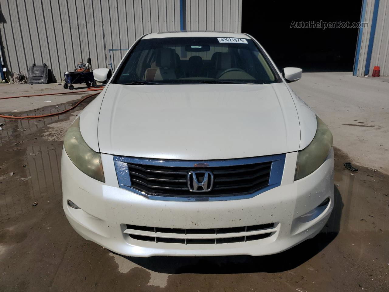 2008 Honda Accord Exl White vin: 1HGCP36878A066060