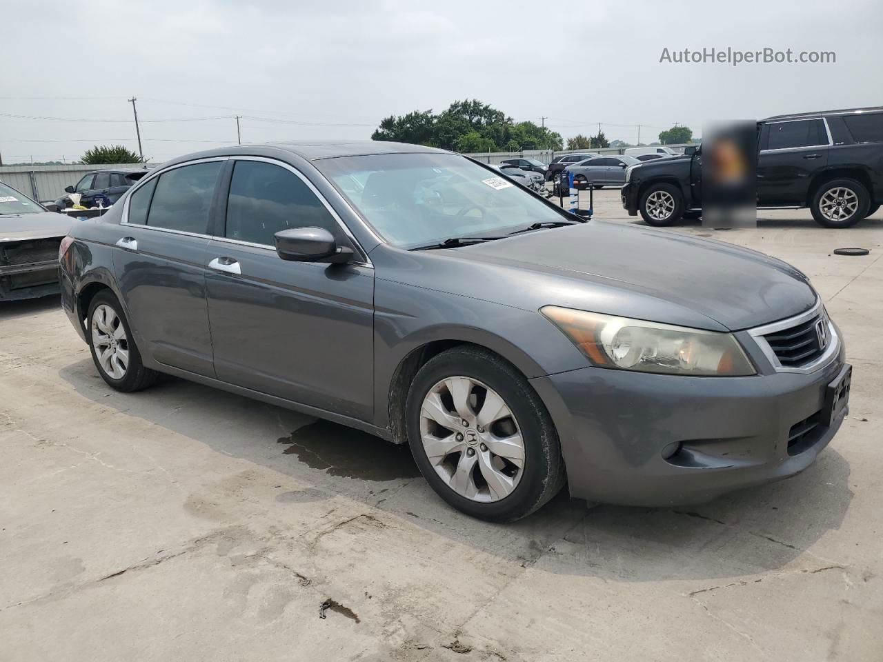 2009 Honda Accord Exl Gray vin: 1HGCP36879A021430