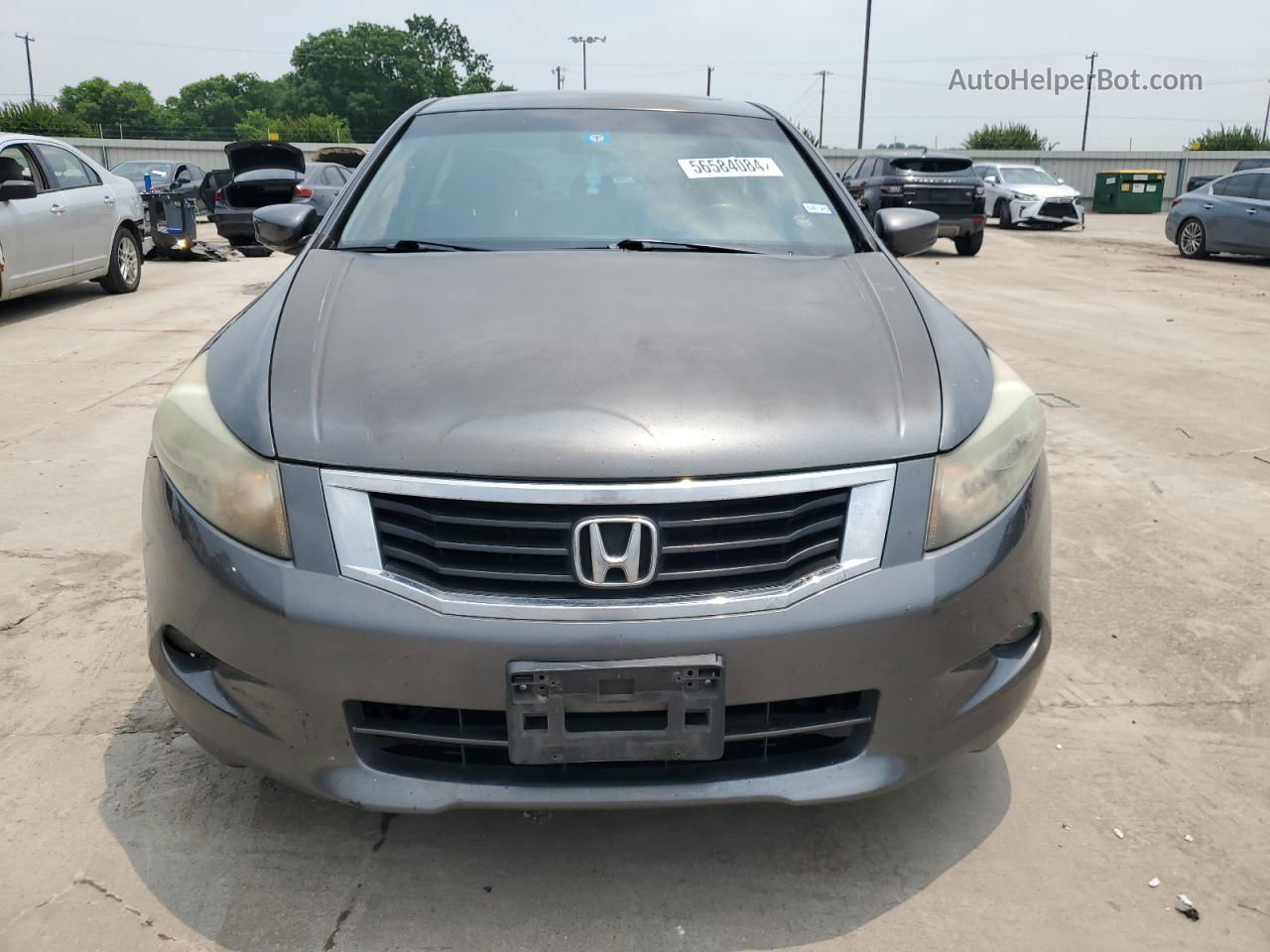 2009 Honda Accord Exl Gray vin: 1HGCP36879A021430