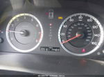 2009 Honda Accord 3.5 Ex-l Черный vin: 1HGCP36879A024344