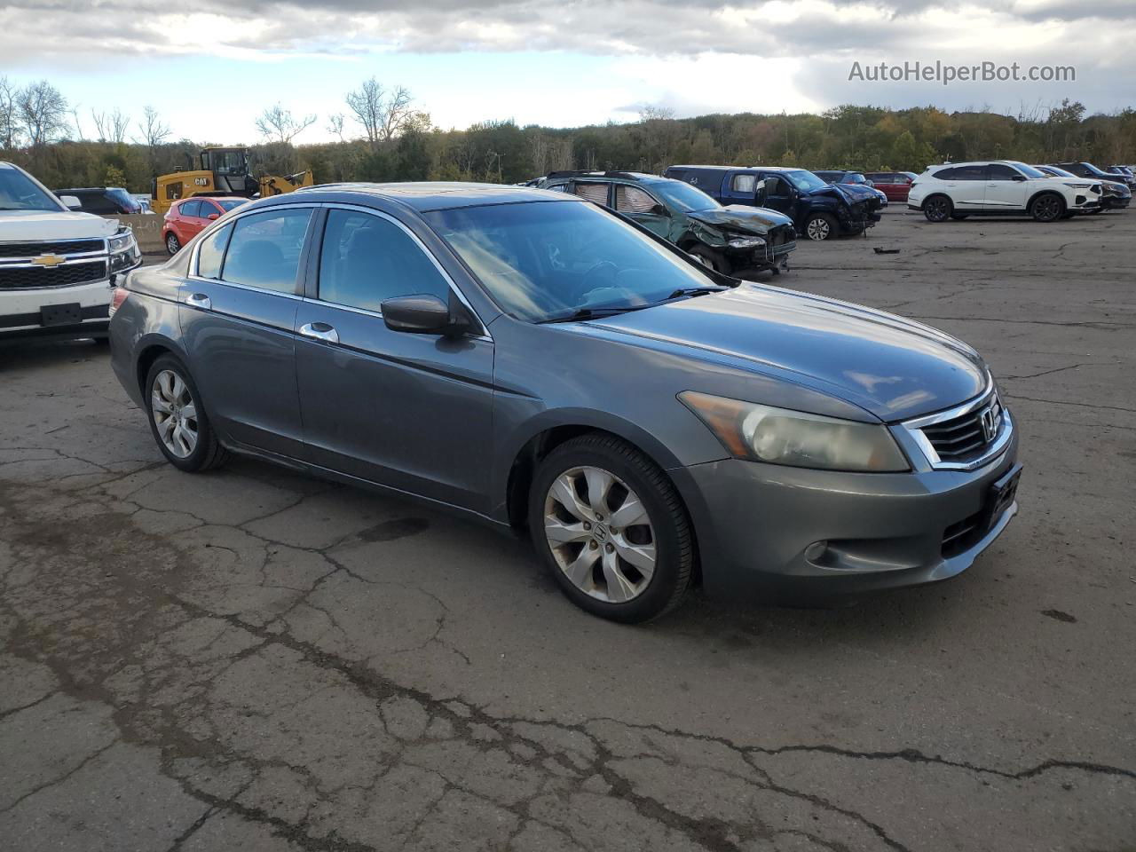 2009 Honda Accord Exl Gray vin: 1HGCP36879A028166