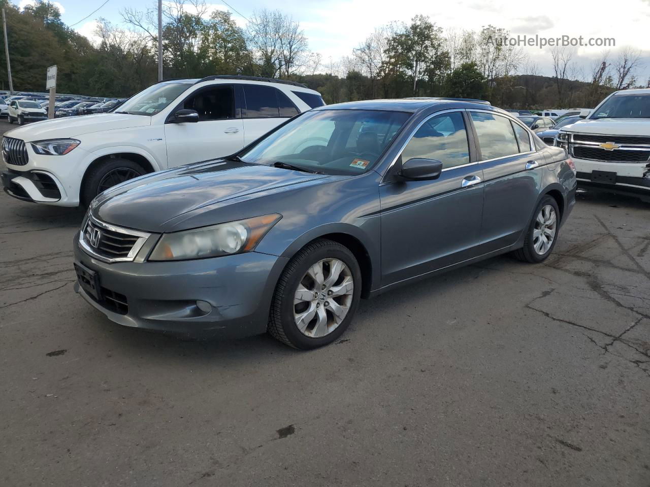 2009 Honda Accord Exl Gray vin: 1HGCP36879A028166