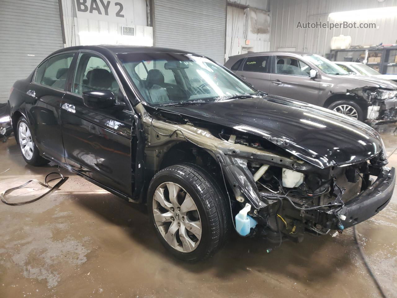 2009 Honda Accord Exl Black vin: 1HGCP36879A035912