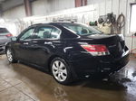 2009 Honda Accord Exl Black vin: 1HGCP36879A035912