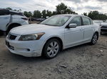 2008 Honda Accord Exl White vin: 1HGCP36888A033715