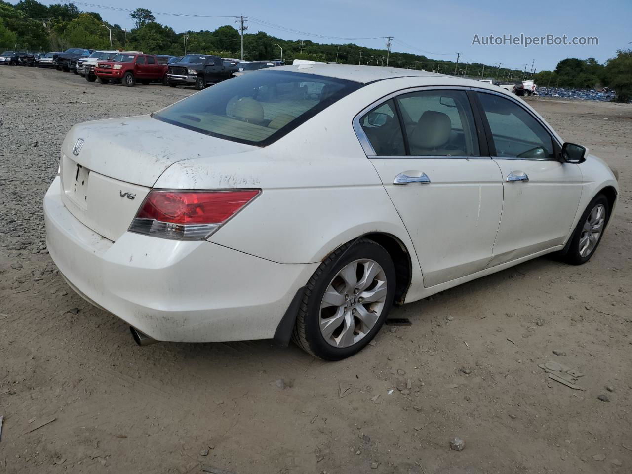 2008 Honda Accord Exl White vin: 1HGCP36888A033715