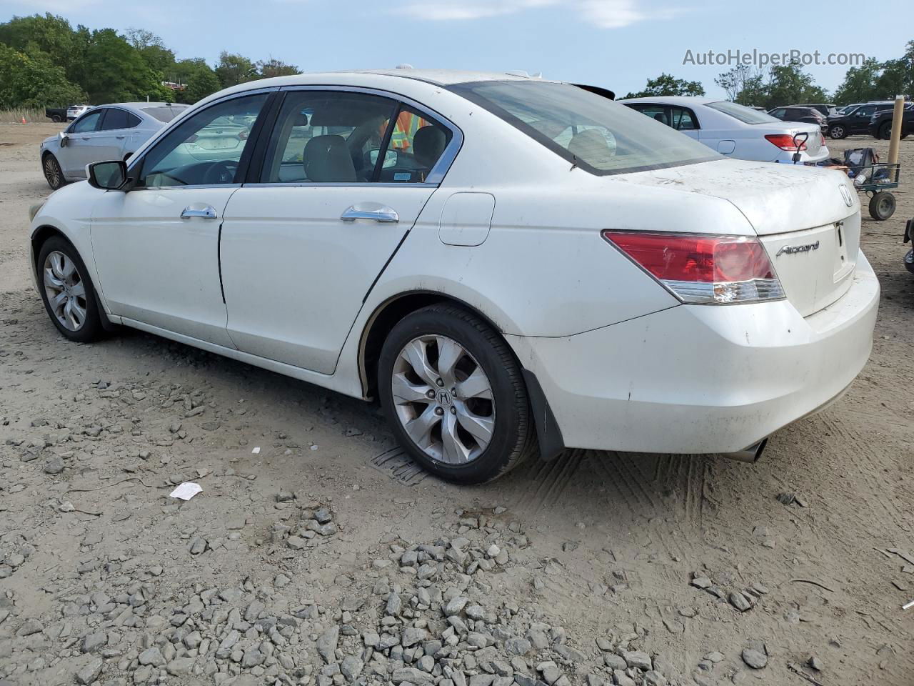 2008 Honda Accord Exl White vin: 1HGCP36888A033715