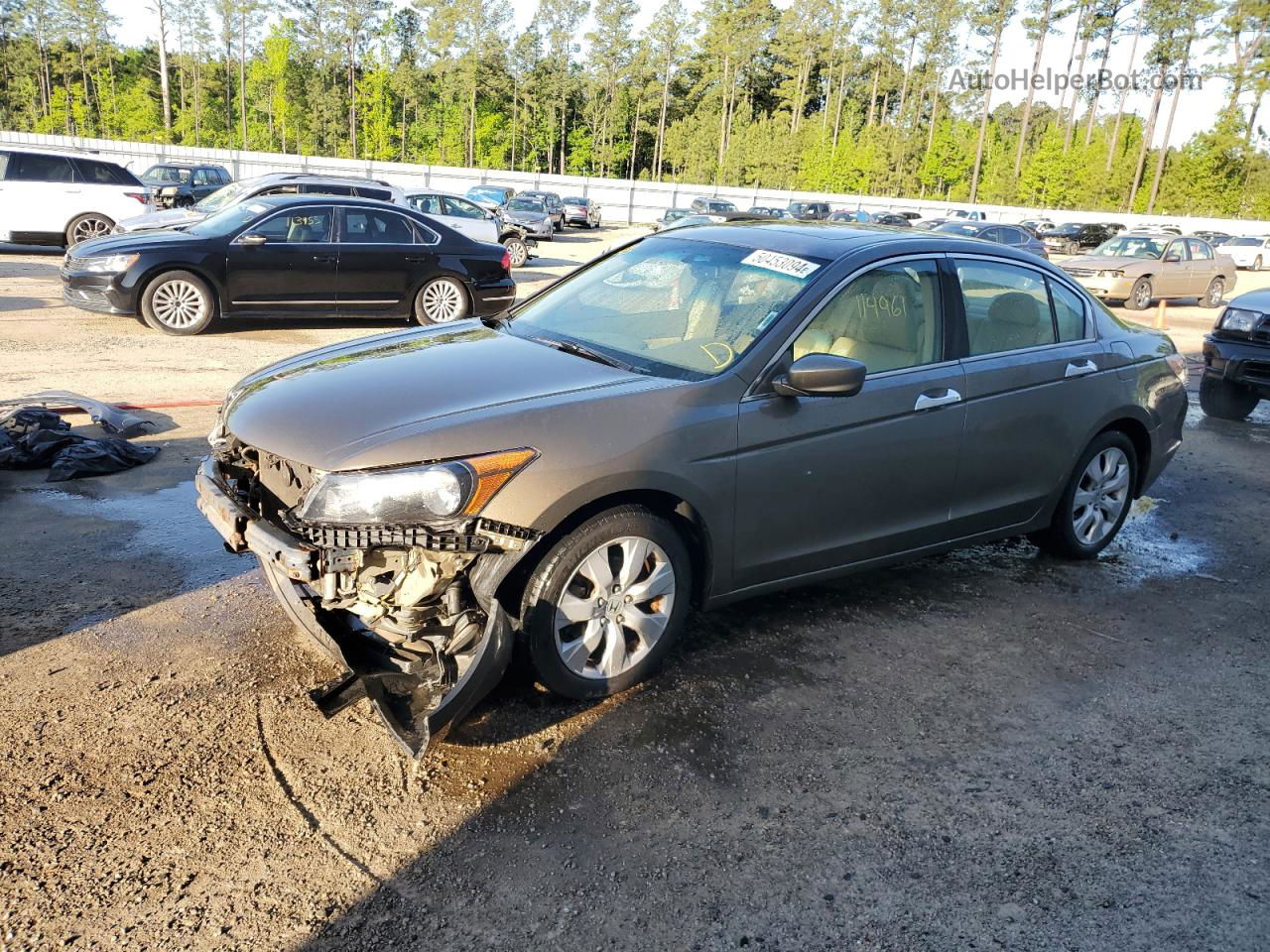 2008 Honda Accord Exl Tan vin: 1HGCP36888A063023