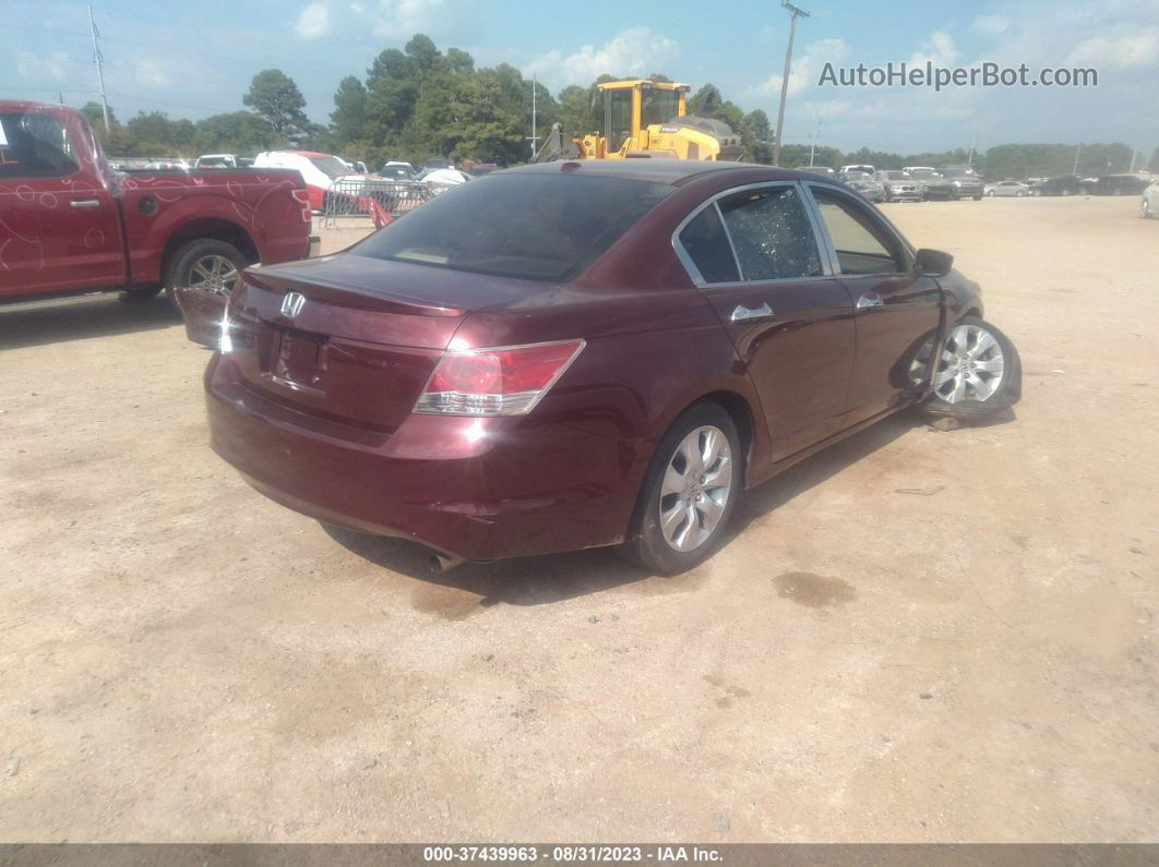 2008 Honda Accord Sdn Ex-l Burgundy vin: 1HGCP36888A065242