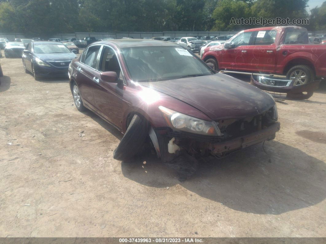 2008 Honda Accord Sdn Ex-l Burgundy vin: 1HGCP36888A065242