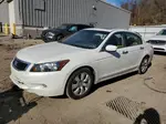 2008 Honda Accord Exl White vin: 1HGCP36888A077603