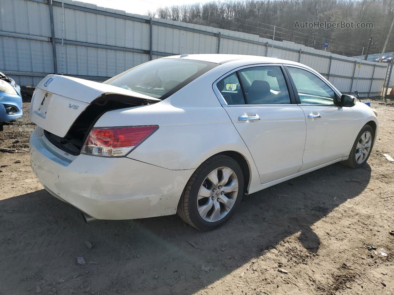 2008 Honda Accord Exl White vin: 1HGCP36888A077603