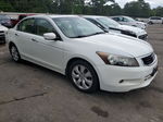 2008 Honda Accord Exl White vin: 1HGCP36898A081241