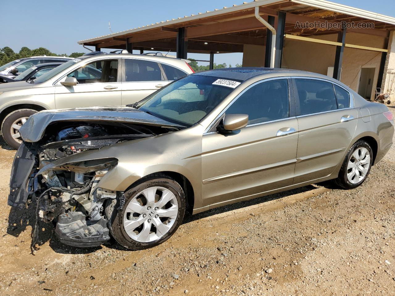 2009 Honda Accord Exl Желто-коричневый vin: 1HGCP36899A023857