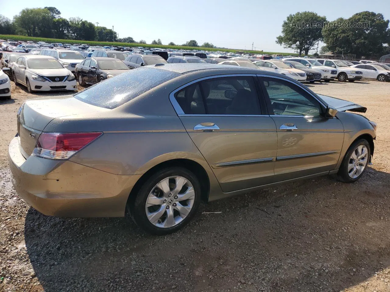 2009 Honda Accord Exl Tan vin: 1HGCP36899A023857