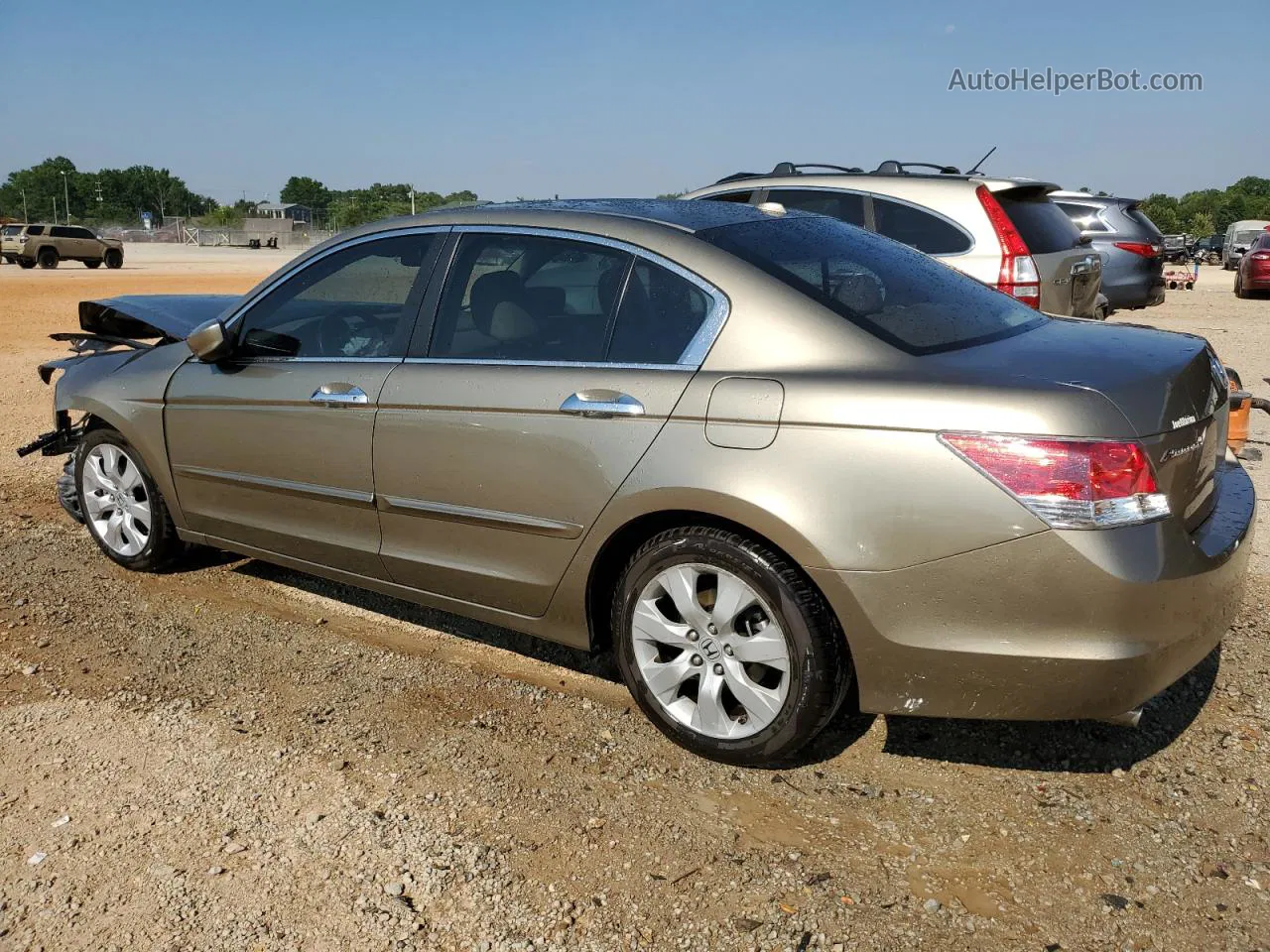 2009 Honda Accord Exl Желто-коричневый vin: 1HGCP36899A023857