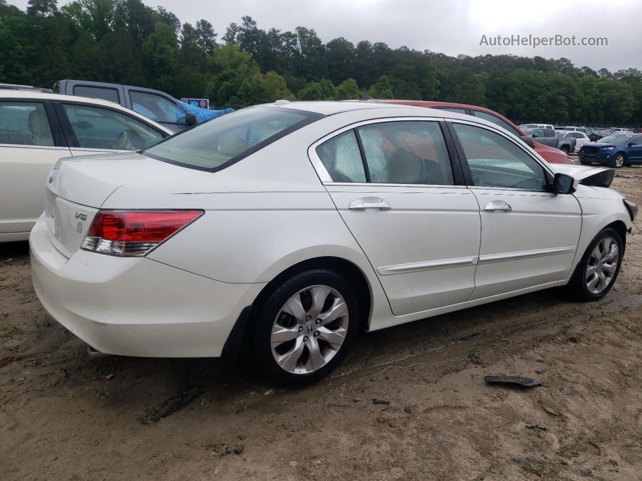 2008 Honda Accord Exl White vin: 1HGCP368X8A028578