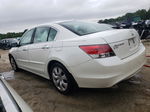 2008 Honda Accord Exl White vin: 1HGCP368X8A028578