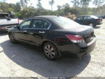 2008 Honda Accord Sdn Ex-l Black vin: 1HGCP368X8A029343