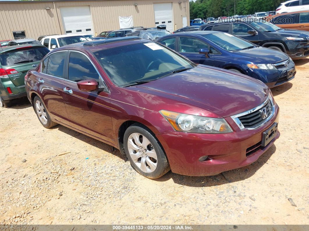 2008 Honda Accord 3.5 Ex-l Burgundy vin: 1HGCP368X8A030847