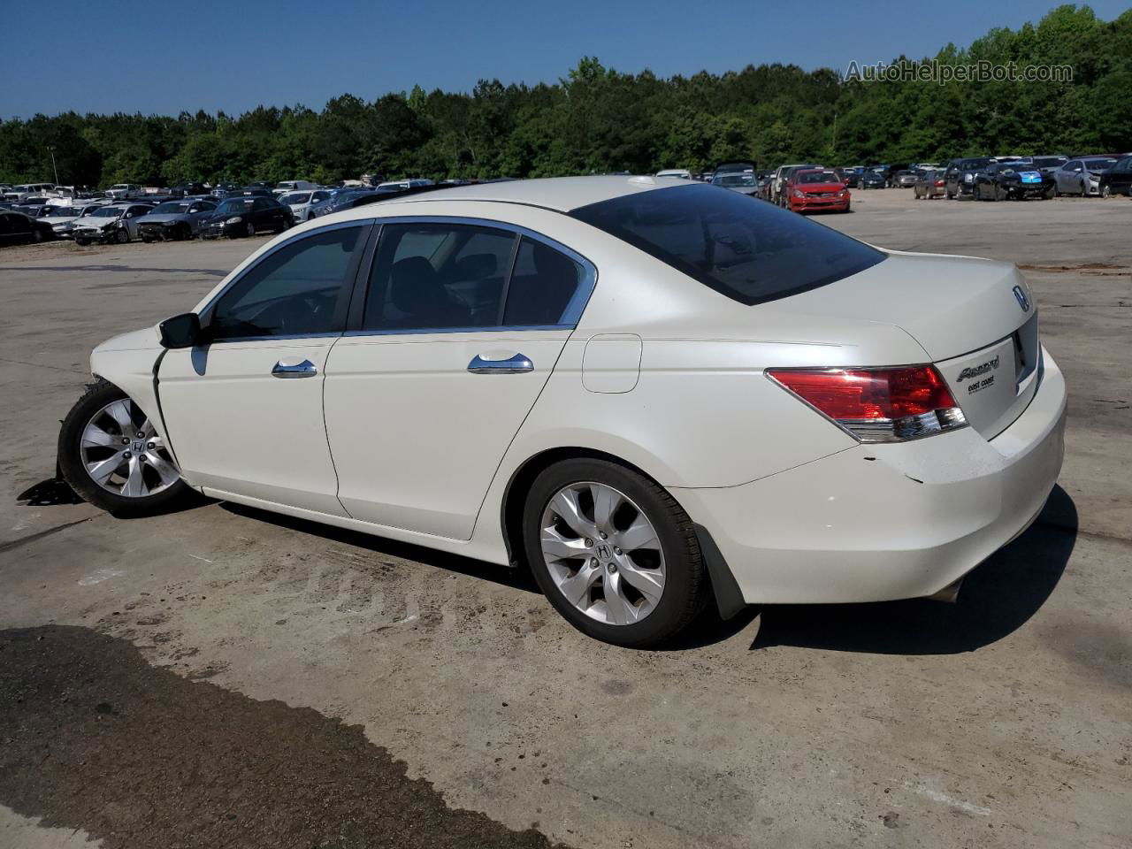 2009 Honda Accord Exl White vin: 1HGCP368X9A011538