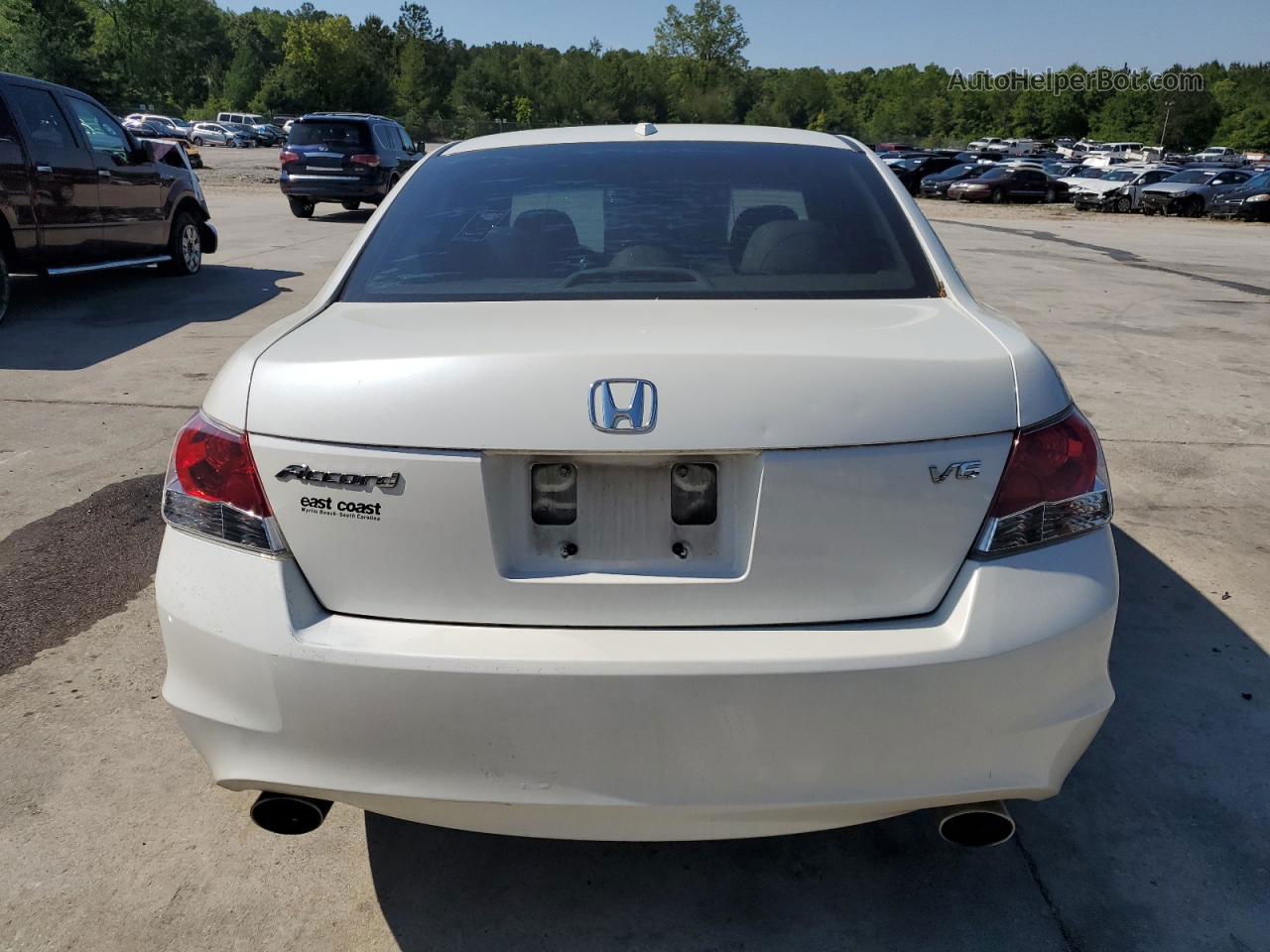 2009 Honda Accord Exl White vin: 1HGCP368X9A011538