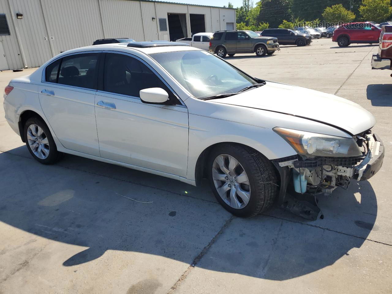 2009 Honda Accord Exl White vin: 1HGCP368X9A011538