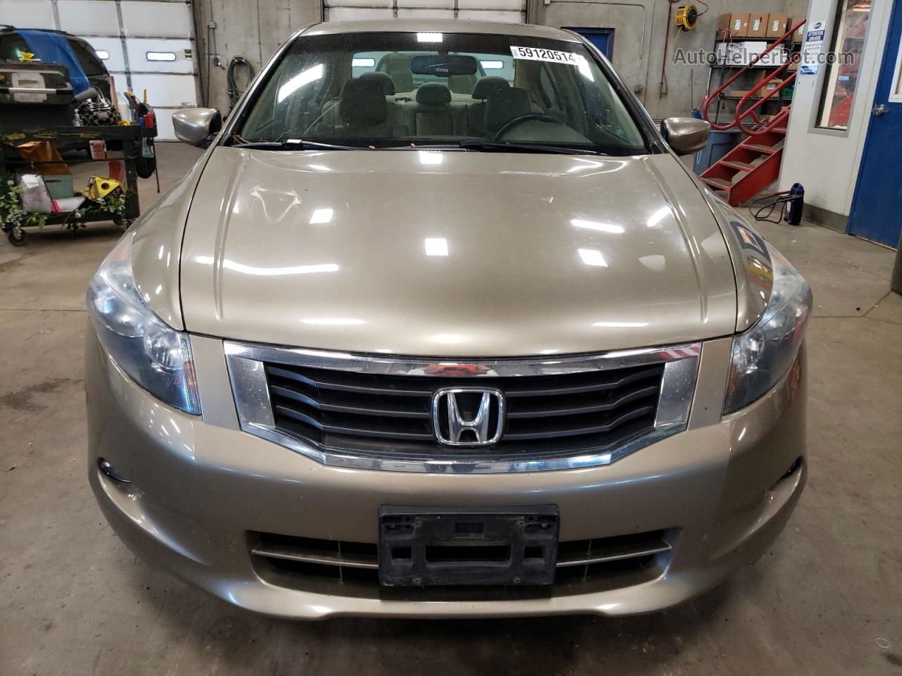 2009 Honda Accord Exl Beige vin: 1HGCP368X9A023432