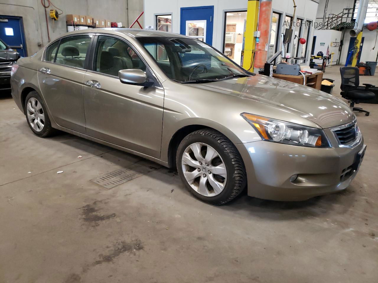 2009 Honda Accord Exl Beige vin: 1HGCP368X9A023432