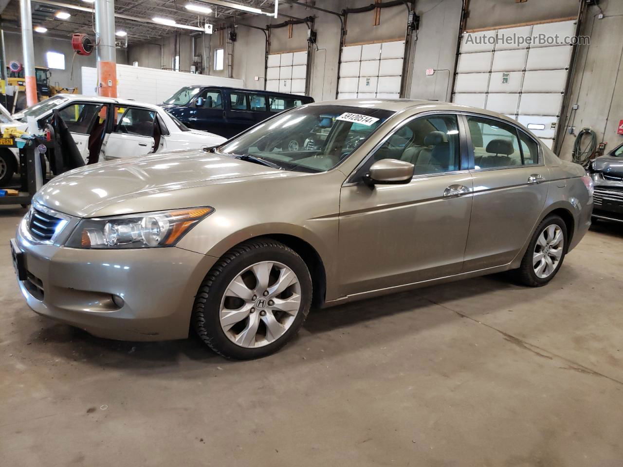 2009 Honda Accord Exl Beige vin: 1HGCP368X9A023432