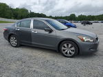 2009 Honda Accord Exl Gray vin: 1HGCP368X9A029098